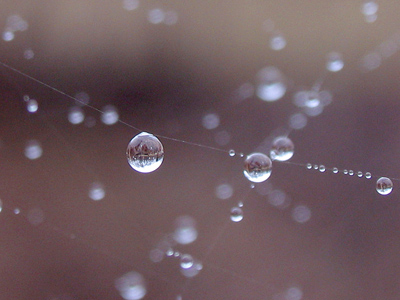 Homage to Brother John Lemker.  See his (much better) photographs at Gallery St. John through March 23.