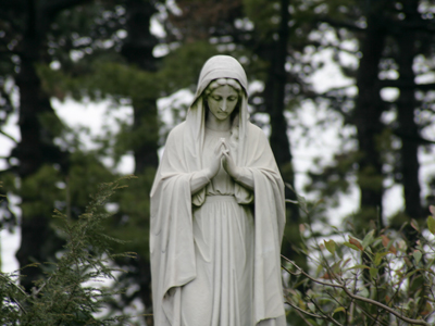 Serenity among the pines.