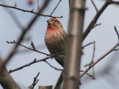 Welcome back.  We missed you.