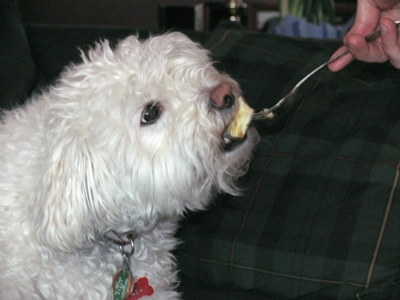 I love it when other people feed my lunch to dogs.