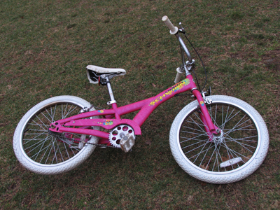 These big boys came by and pushed me off my bike.