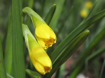 Hints of things to come.