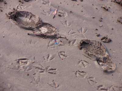 This company really keeps track of their money.  They also have Manager of the Nickle and Manager of the Dime.