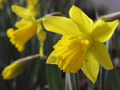 It`s nice to see Annette back in show business, isn`t it?