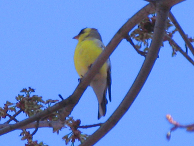 It`s the most wonderful time of the year!