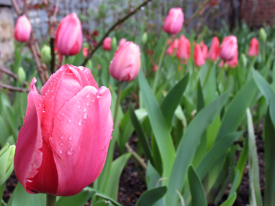 We took our lunch breaks at the same time.