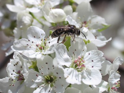 I didn`t expect to photograph this event tonight . . . 