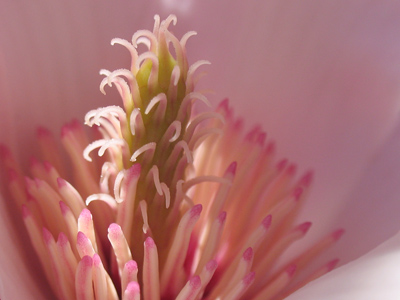 Another weekend, another world championship.