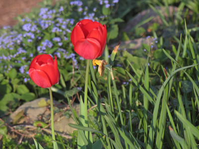 A lot has changed since 1863:  we pay them now.