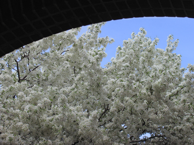 Come, sit, and just BE.