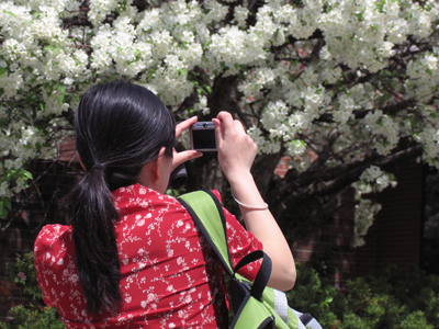 I spent the day in a quiet garden, but the evening at a much more noisy location.