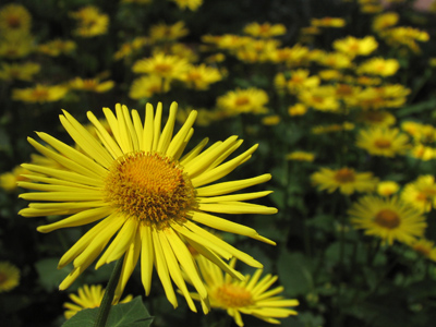 I usually look for studio lights reflected in a model`s eyes, but not eyes like this.