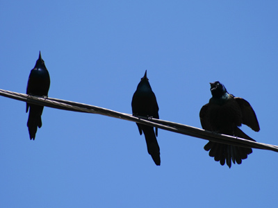 `How much longer will your mother be staying with us?!`