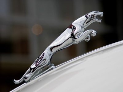 The British don`t really know how to make a car, but it sounds so cool when they say `Jag-you-wahre.`