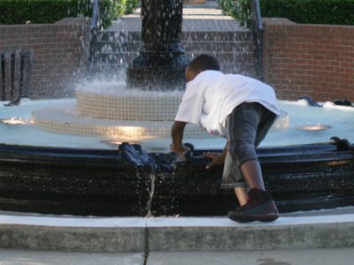 What happens to the coins you toss into a fountain.