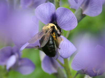 Hold on tight to what you love.