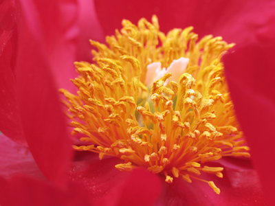 Moments later, I sneezed.