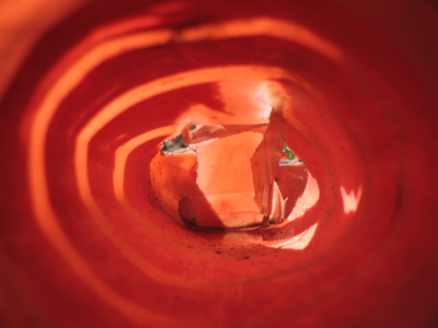 Another closeup of a flower?  No, the interior of an orange construction pylon.