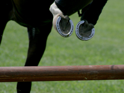 I planned last night to get this shot today.