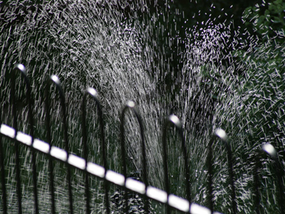 Have you had your sprinkle today?