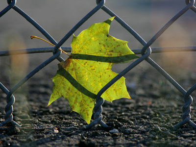 The boundaries that constrain us are mostly self-imposed.