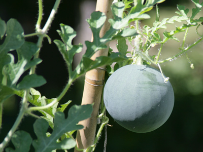 I`m not sure what this is, but it`s gonna be big.