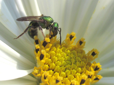 Photographers can be so intrusive.