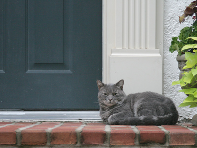 You`re supposed to wipe your feet on it before you enter.