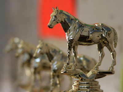 If you can get a dirty horse as clean and shiny as this, then you`ll win a trophy.