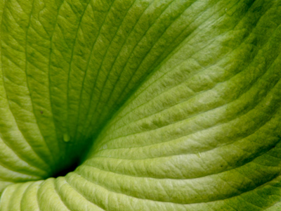 What Augustus Gloop saw as he descended into one of Willie Wonka`s candy-making machines.