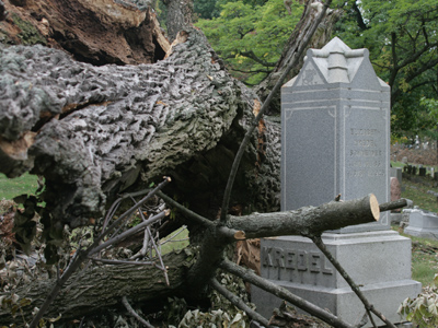 CRUNCH!!  This is a dangerous place for the living.