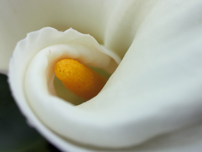 Last call for beautiful things.