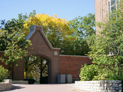 Leaves are naturally yellow.  It`s just chlorophyll that makes them look green.