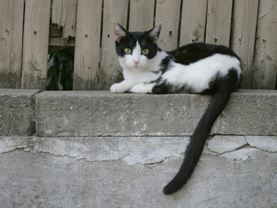 And thereby hangs a tale. WILLIAM SHAKESPEARE