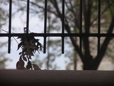 It caught my eye, I pushed the button, no biggie.