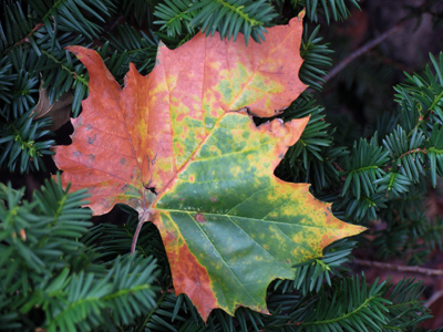 `That`s going to be a great picture!` a lady said as she went past.