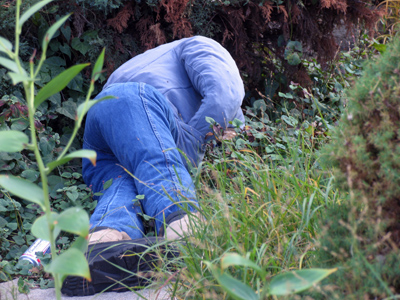Someone wants to minimize the number of trick-or-treaters coming to the door.