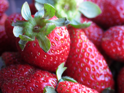 Nobody, not even the people who write the Oxford English Dictionary, knows why they`re called STRAW-berries.