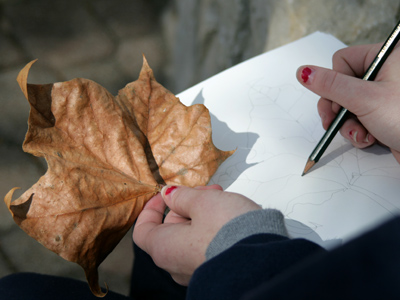 Some people draw leaves.