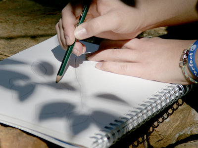 Some people trace the shadows of leaves.