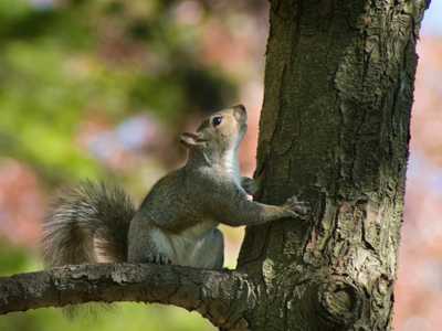 `Come on, man, you`re scaring me.  Don`t do anything crazy.  Come down and we can talk this thing through!`