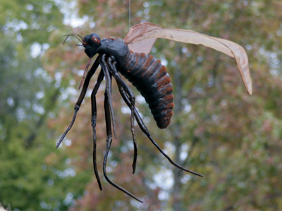 There`s something about this bug shot that makes it different from all the bug shots I`ve taken before.