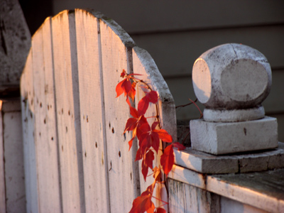 It`s NOT cold and raining like it was two days ago, so let me try this again.