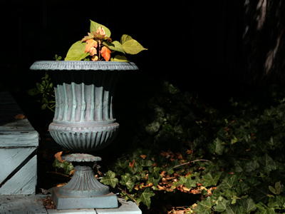 If I continue to take great pictures like this, I may someday be able to urn a living from photography.