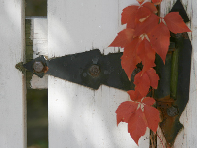 For lack of a better caption, Happy Halloween!