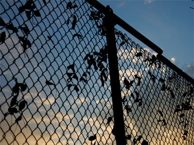 Daylight Savings Time:  it`s light when I walk to work.