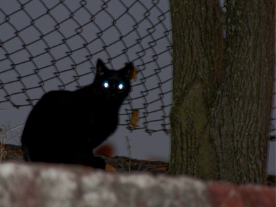 Daylight Savings Time:  it`s dark when I walk home.