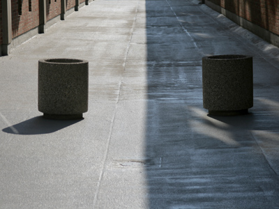 With all of nature dead or dying, I must look elsewhere.