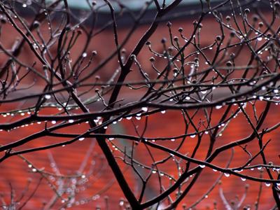 It was a poor excuse for a day.