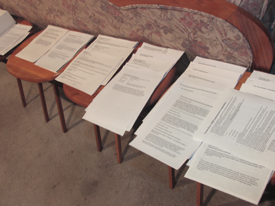 One reason my pictures are so dull (besides cold weather, camera problems and a crippling lack of initiative) is that I`m deep into the biggest writing project of my life.